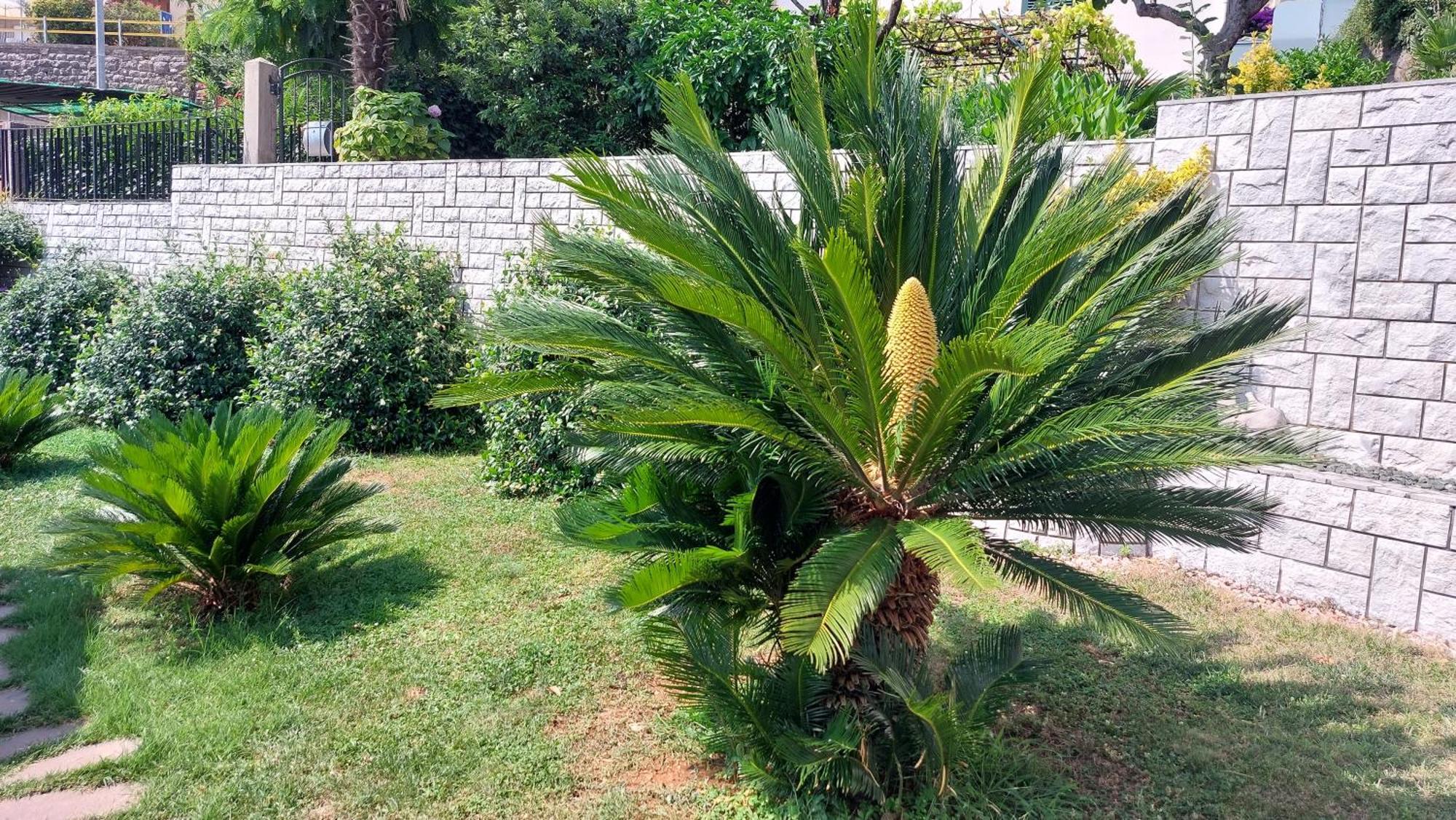 Opatija Centar Apartment Luaran gambar